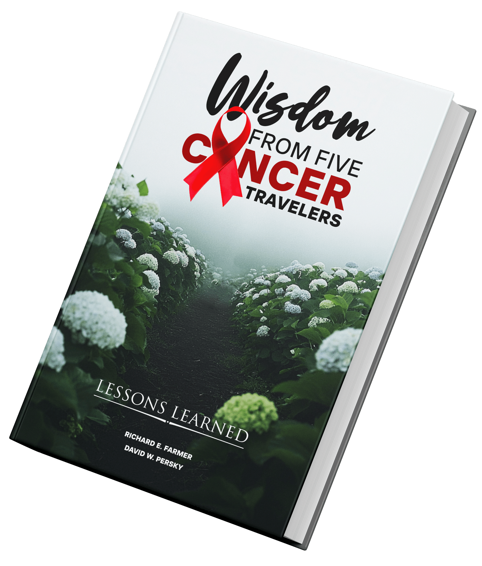 Wisdom From Five Cancer Travelers